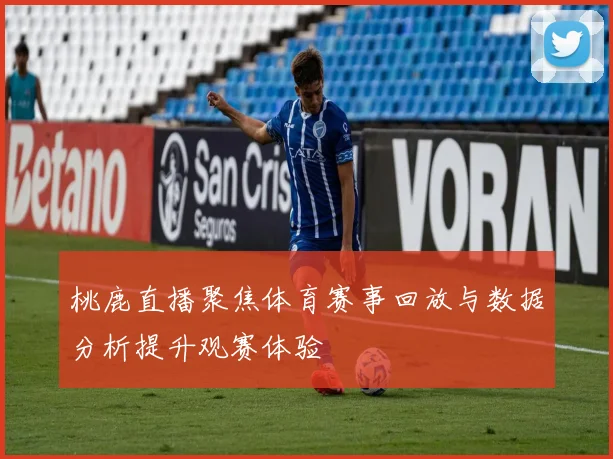 桃鹿直播聚焦体育赛事回放与数据分析提升观赛体验